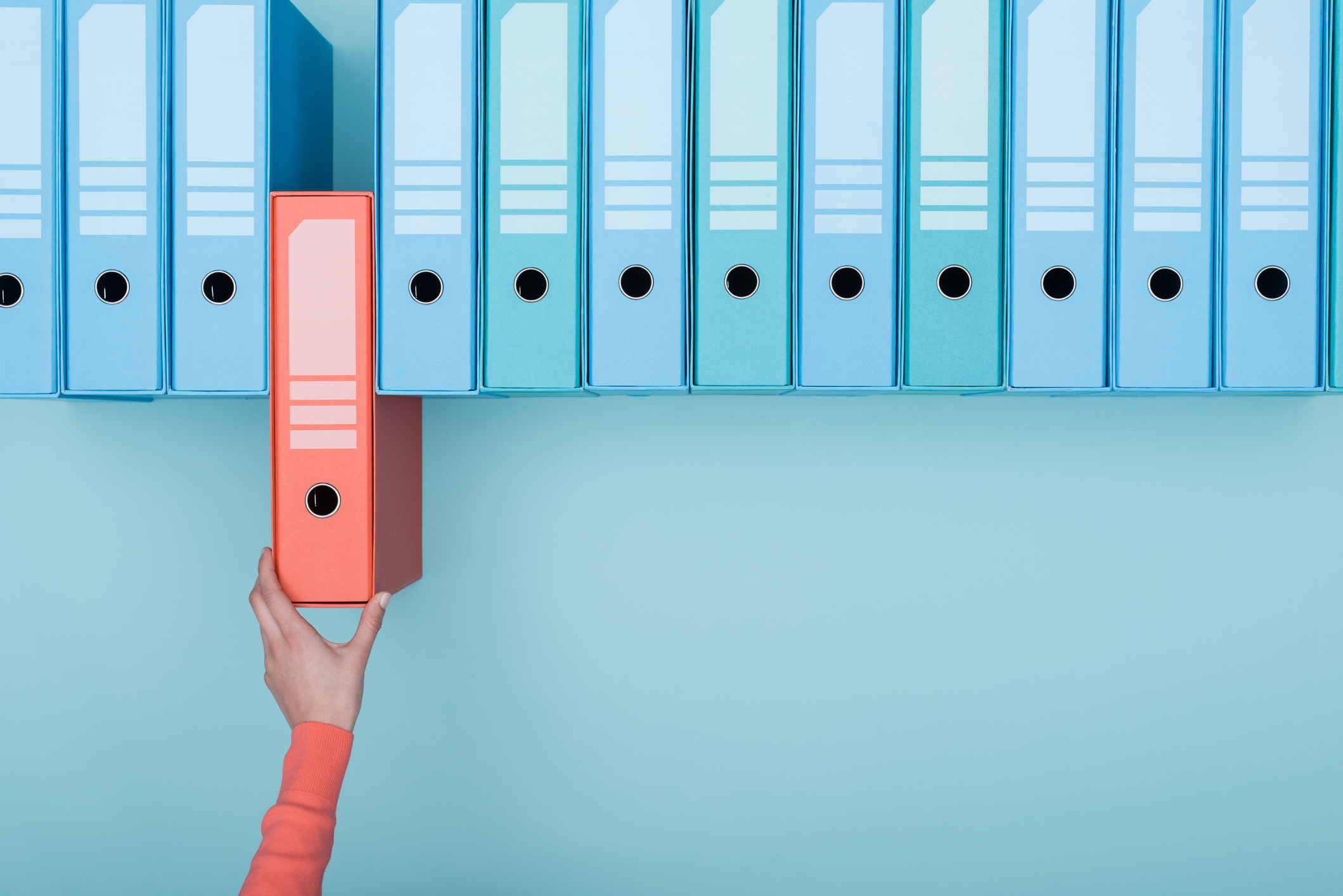 illustration of binders on shelf